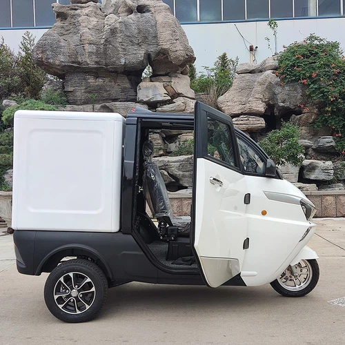Cargo Tricycle Cargo Tricycle