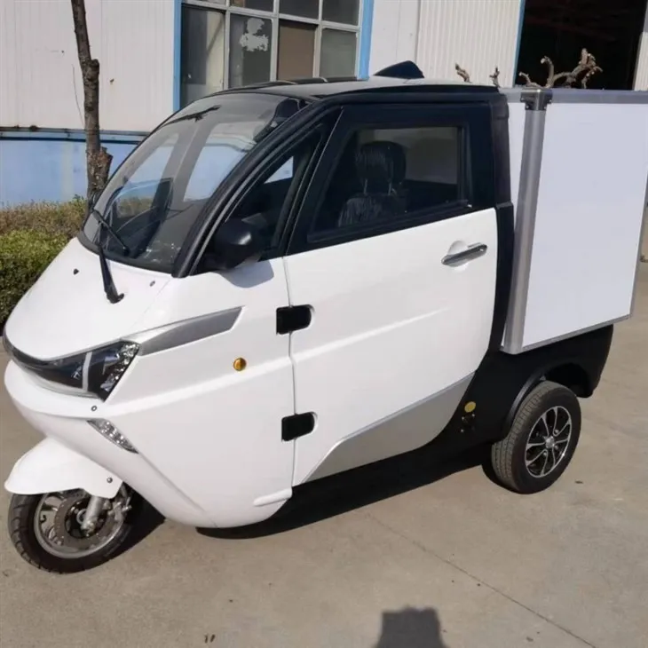 3 Wheel Electric Mini Delivery Car With Cargo Box