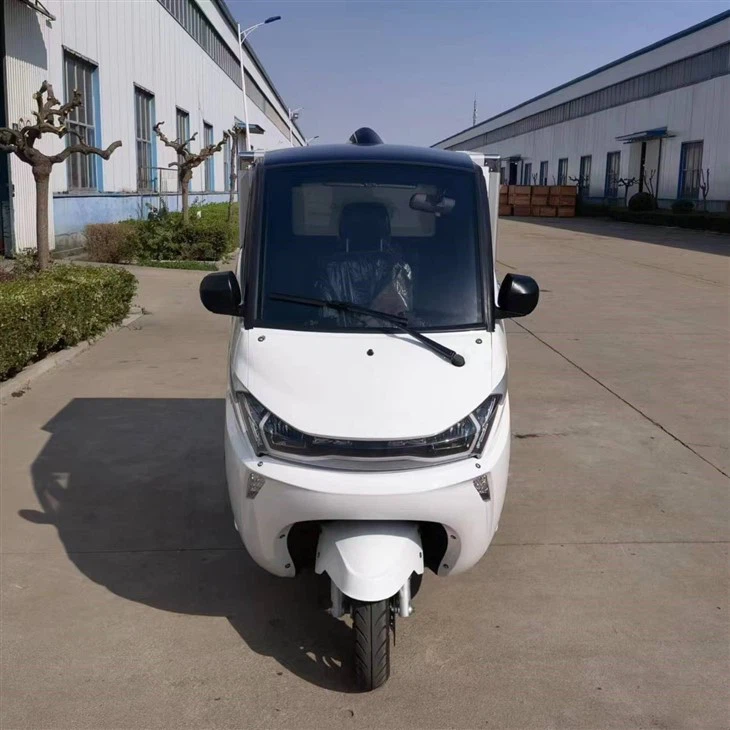 3 Wheel Electric Mini Delivery Car With Cargo Box