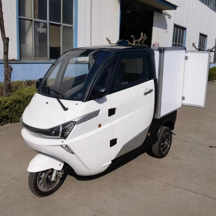 3 Wheel Electric Mini Delivery Car With Cargo Box