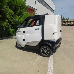 China Customized Utility Trucks For Food Delivery Car EEC COC Electric Adult Tricycle Van