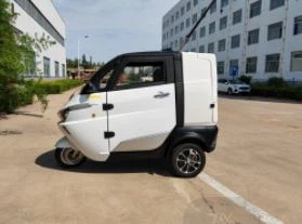 China Customized Utility Trucks For Food Delivery Car EEC COC Electric Adult Tricycle Van