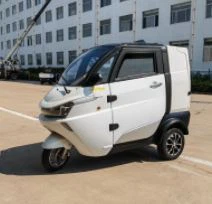China Customized Utility Trucks For Food Delivery Car EEC COC Electric Adult Tricycle Van