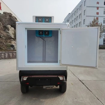 COC Food Delivery Van Icecream Car Loading Cargoes 300kg