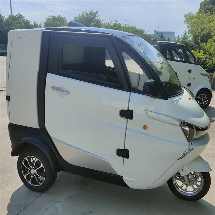 Low Price Three Wheeler Auto Electrico New EV With Cargo Box For Logistics