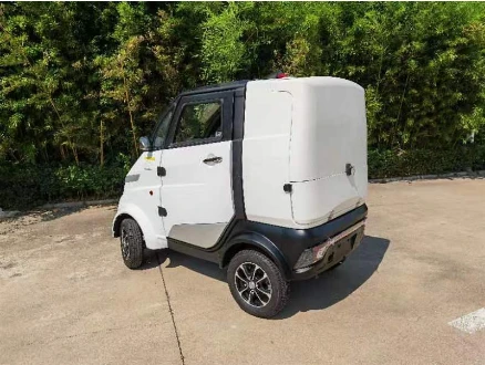Mini Food Delivery Transport Van Truck Mobile Electric Automatic Delivery Pickup
