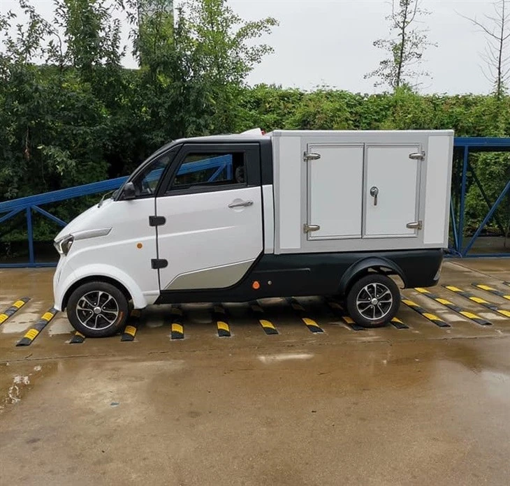 New Energy EEC Electric Mini Cargo Van Car